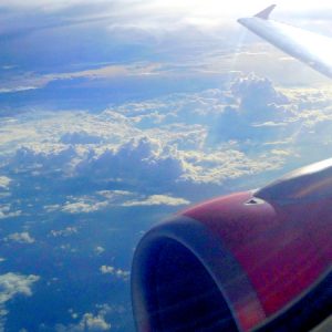 Plane Wing