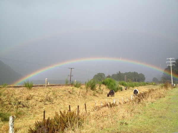 Christchurch to Greymouth Drive, Southern Alps, New Zealand