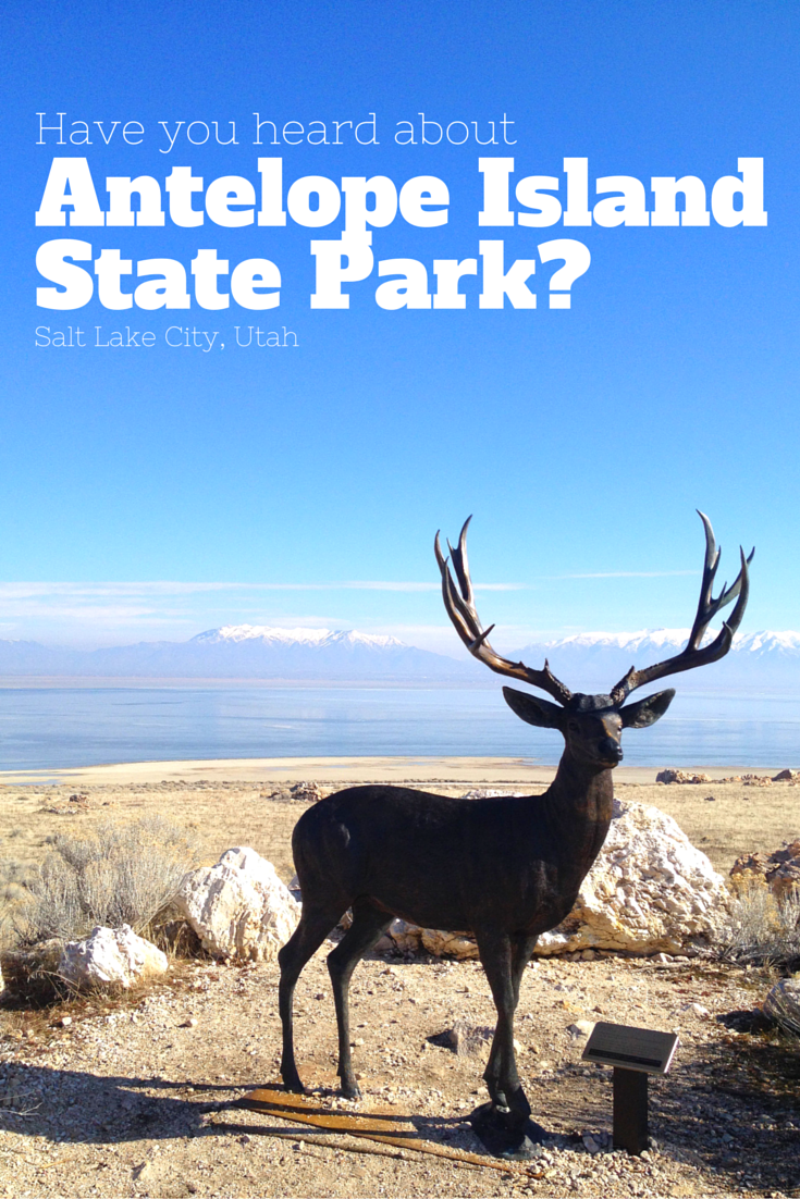 Have you heard about Antelope Island State Park?