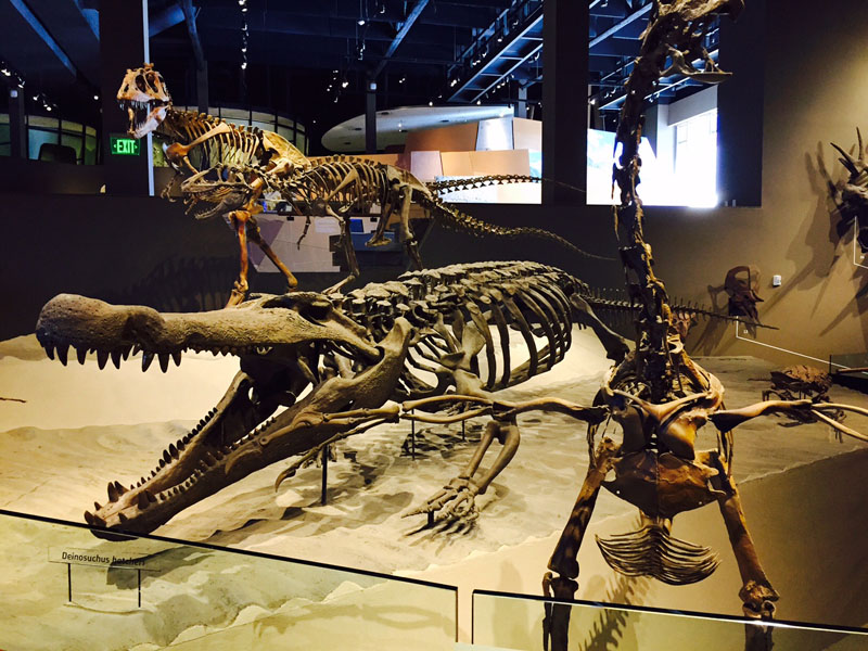 Natural History Museum, Salt Lake City