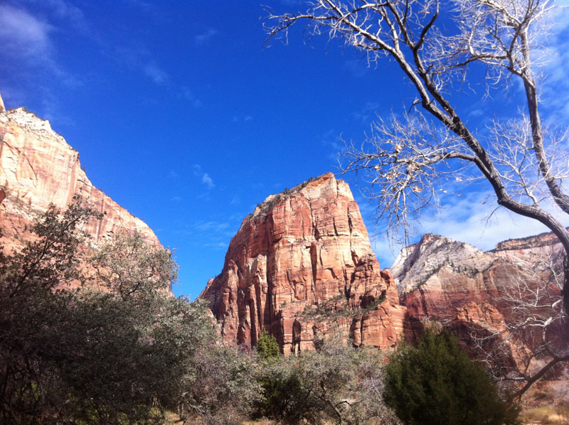 Zion National Park Utah