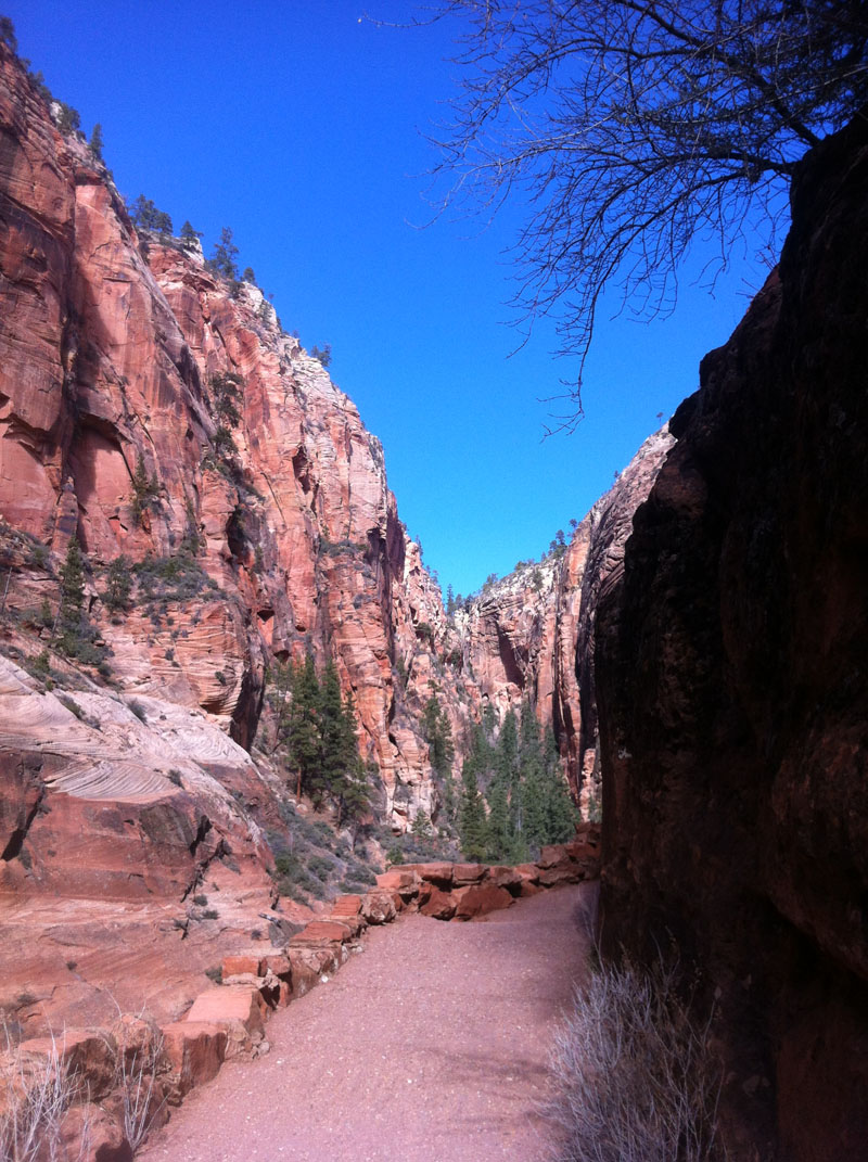 Zion National Park