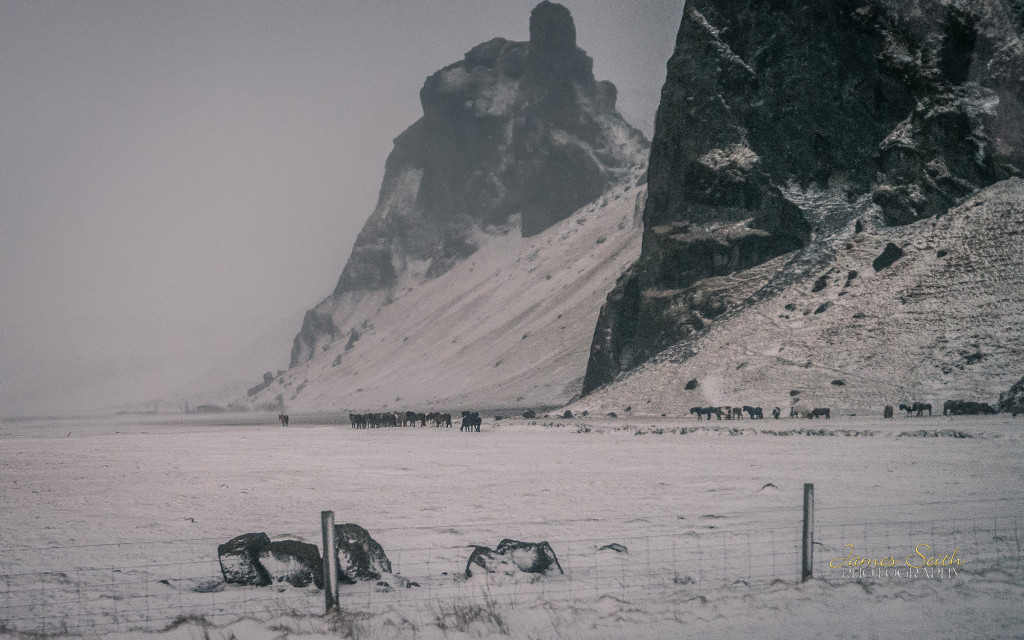 Summer Vs Winter When Is The Best Time To Go To Iceland   WInter 1024x640 