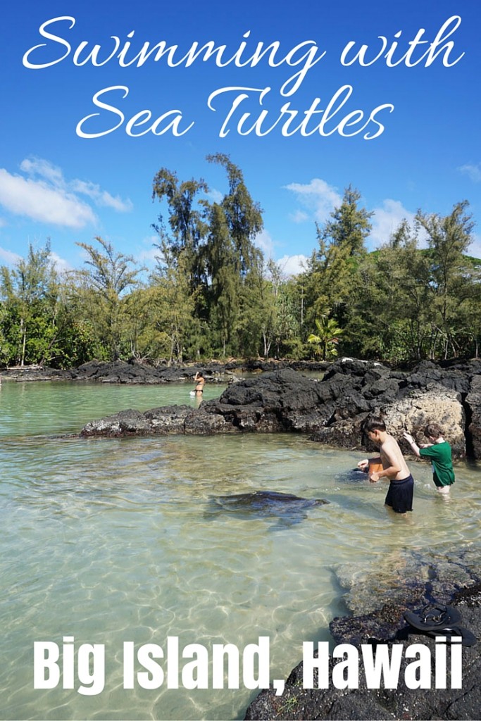 Swimming with Sea Turtles, Big Island, Hawaii