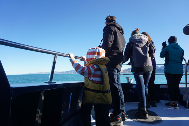 Reuben On the Boat, Whale Watch Kaikoura