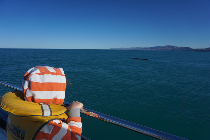 Reuben Watching the Sperm Whale from the Top of the Boat