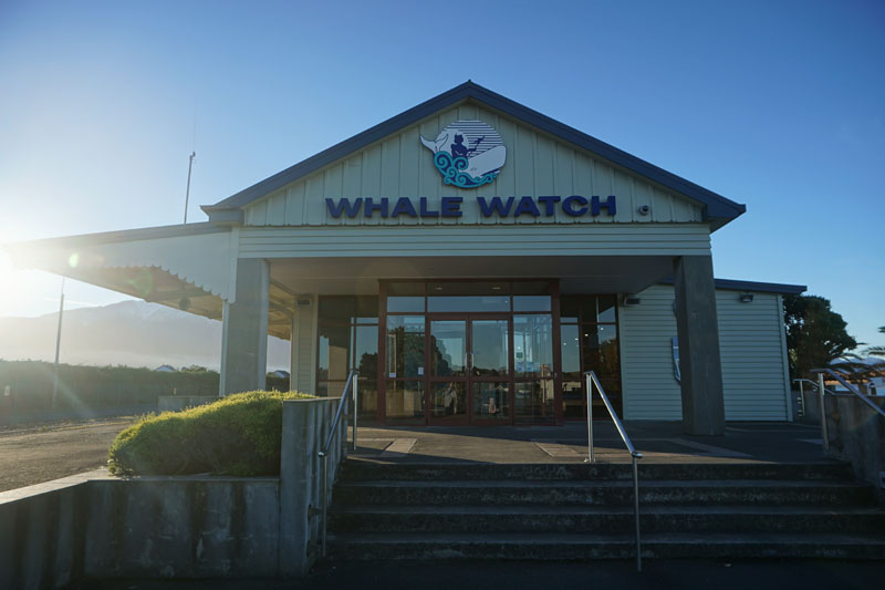 The Whale Way Station, Kaikoura