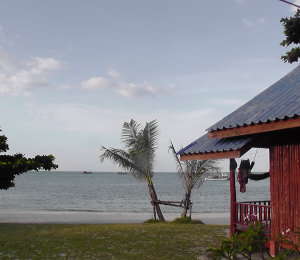 Welcome to Paradise…. ?